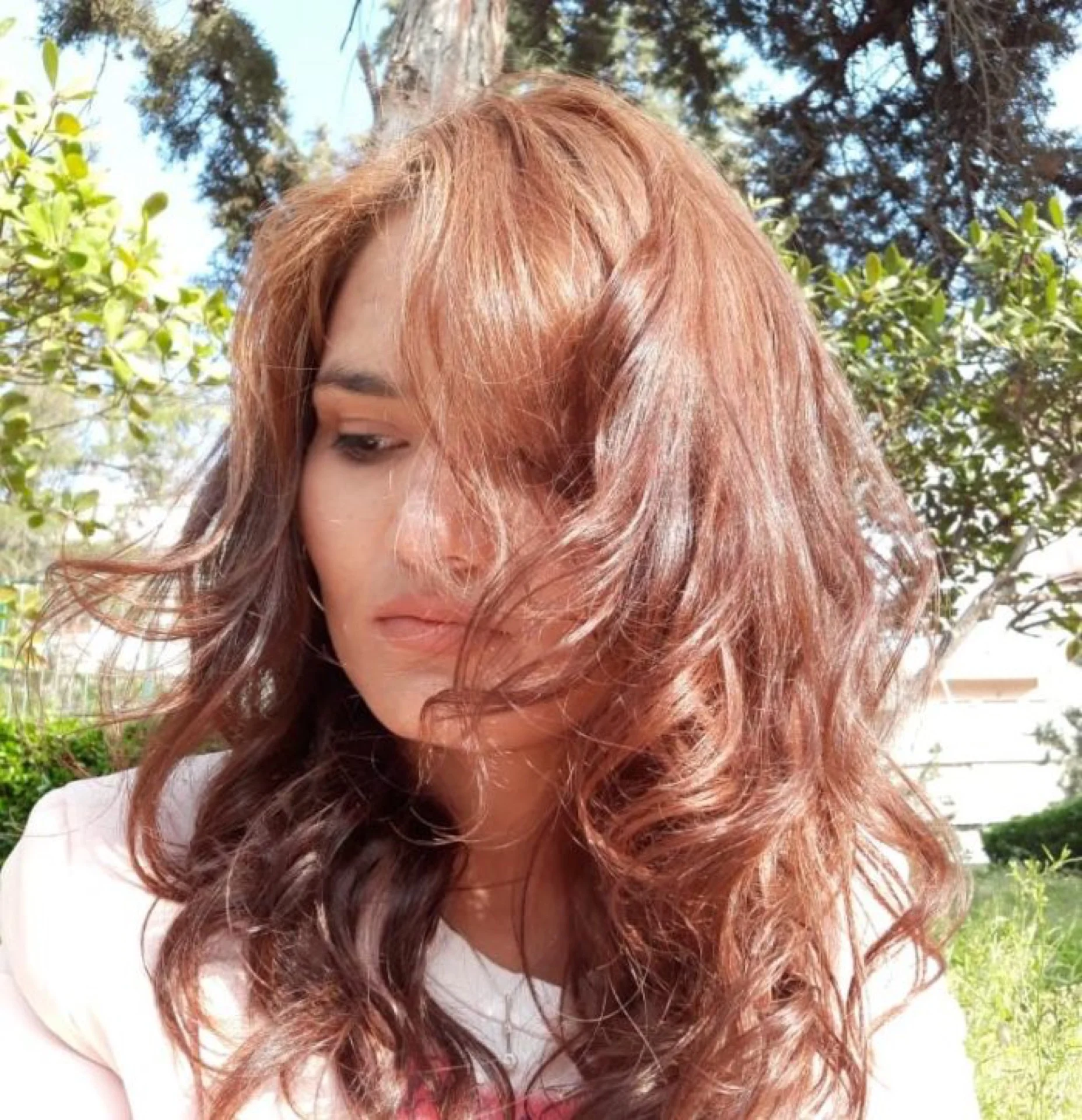 NARGIS (AFGHANISTAN)