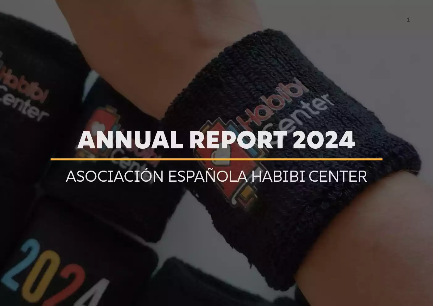 Annual Report 2024